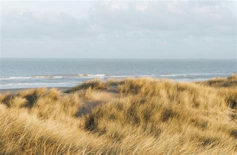 krokusvakantie belgische kust|5 tips om de krokusvakantie aan zee te beleven